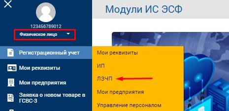 Инструкция по регистрации Лица, занимающегося частной практикой (ЛЗЧП) в ИС ЭСФ 2 Инструкция по регистрации Лица, занимающегося частной практикой (ЛЗЧП) в ИС ЭСФ