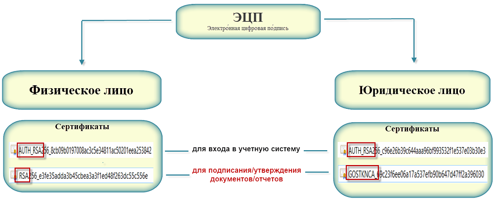 Қадамдық нұсқаулық: Басшыны ауыстыру және ИС ЭСФ пен 1С-та ЭЦҚ-ны жаңарту 1 Қадамдық нұсқаулық: Басшыны ауыстыру және ИС ЭСФ пен 1С-та ЭЦҚ-ны жаңарту